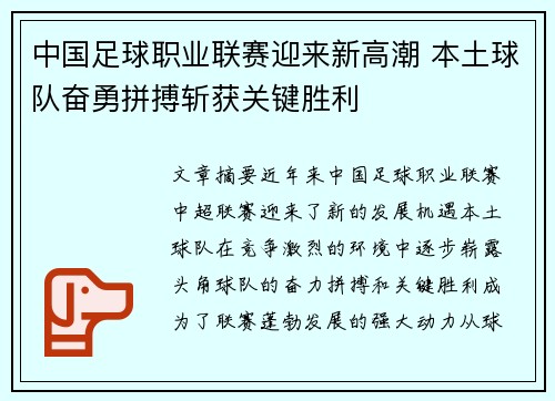 中国足球职业联赛迎来新高潮 本土球队奋勇拼搏斩获关键胜利